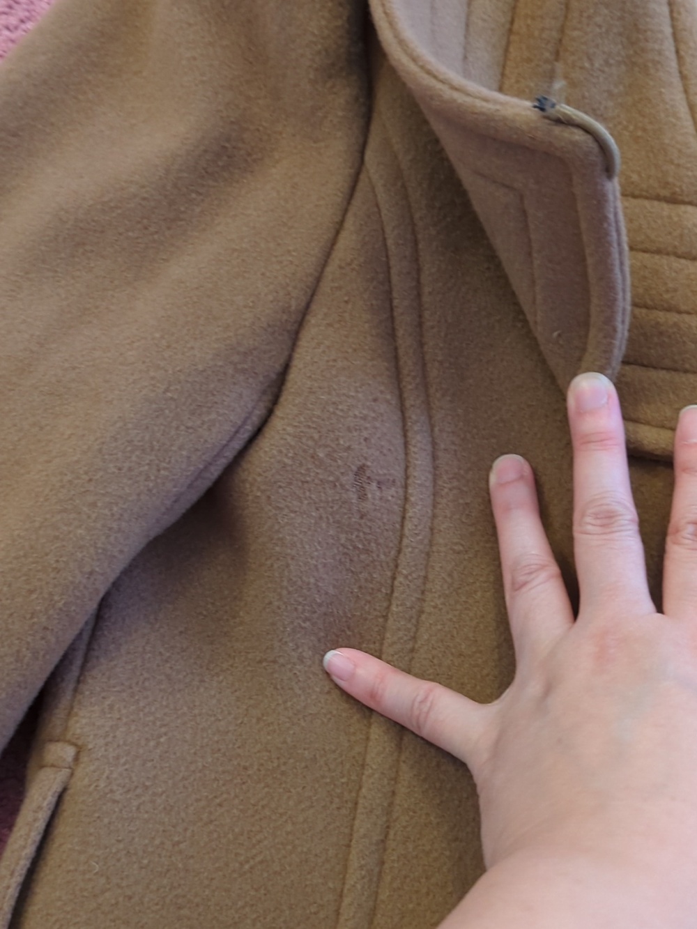 Babaton Coat - Picture 3 of 8